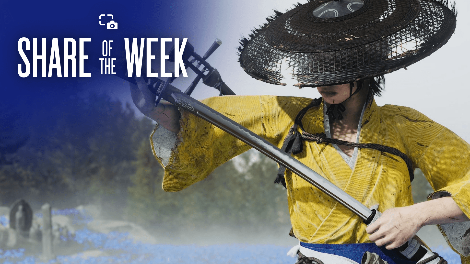 Share of the Week: Katana – Bedford Telecoms