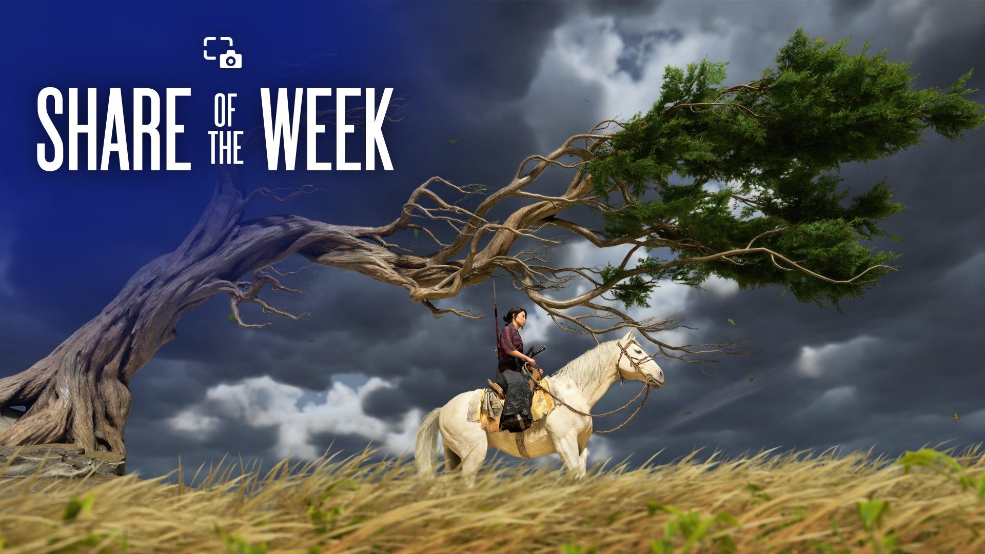 Share of the Week: Trees – Bedford Telecoms