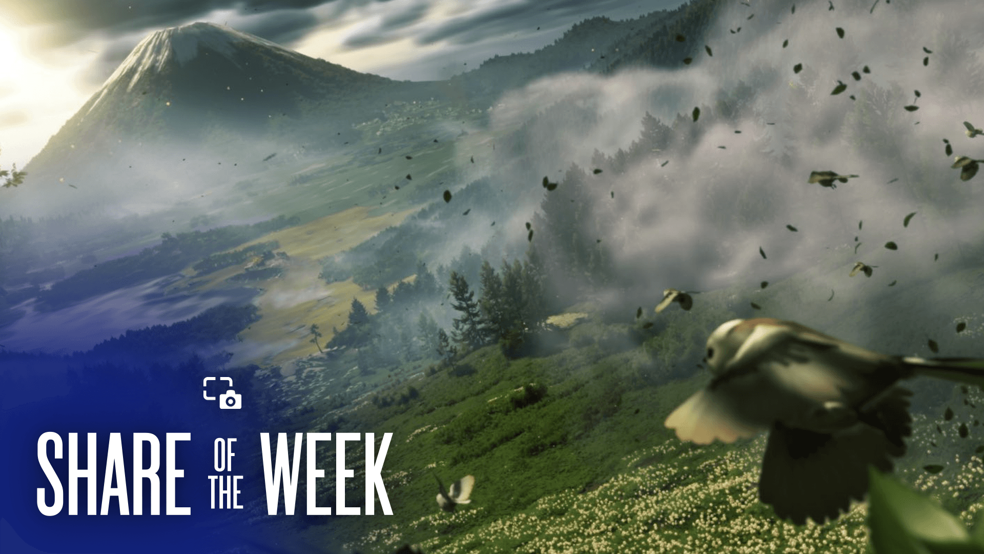 Share of the Week: Seasons – Bedford Telecoms